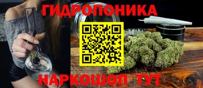 шишки Лесосибирск