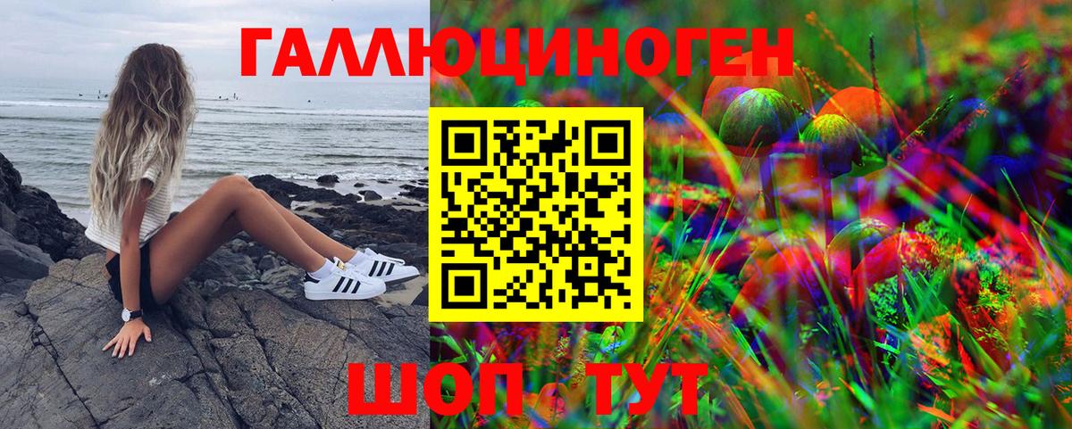 Галлюциногенные грибы прущие грибы Славянск-на-Кубани